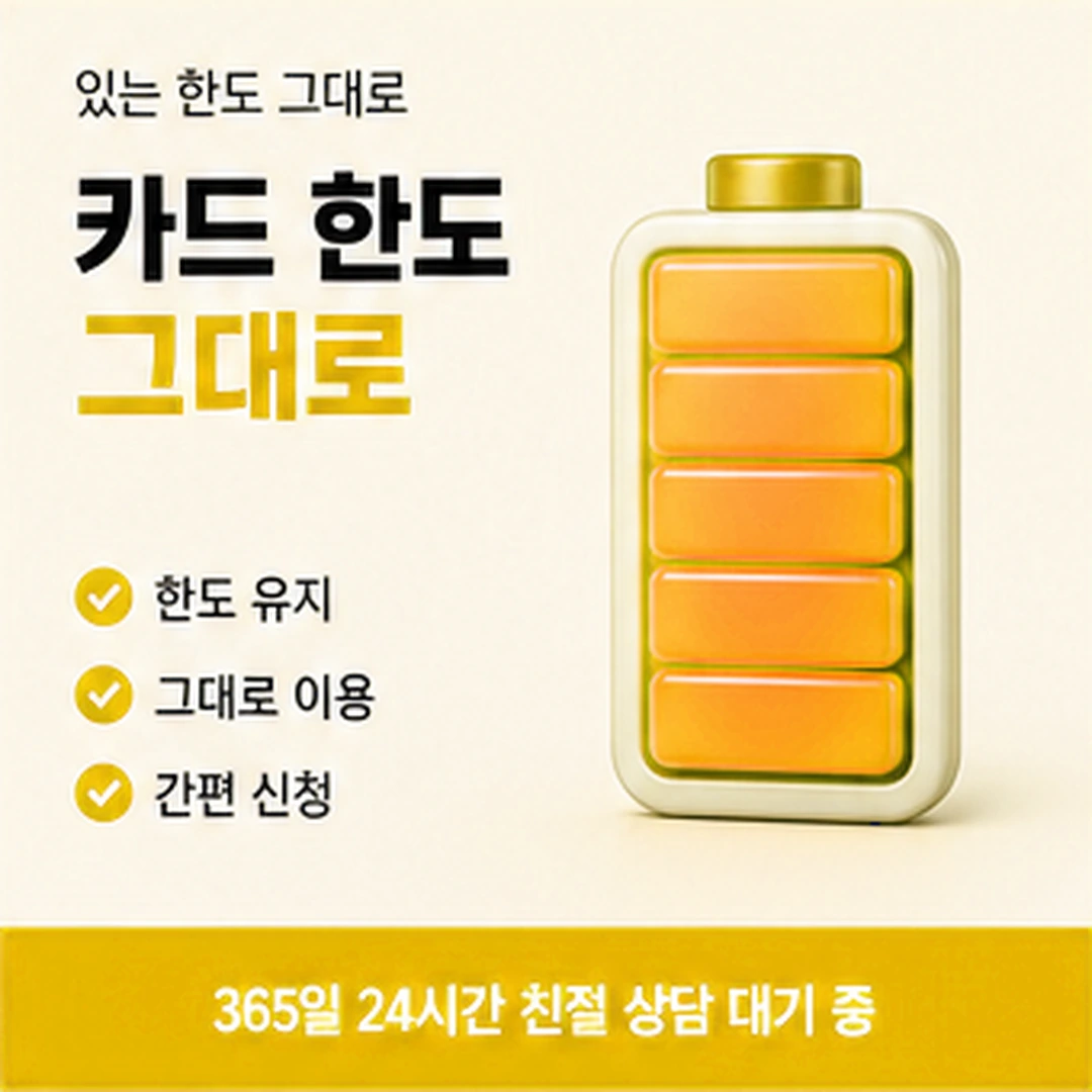 다음머니 카드깡 결제 사이트 안내 내용 보관 안내 배너 이미지